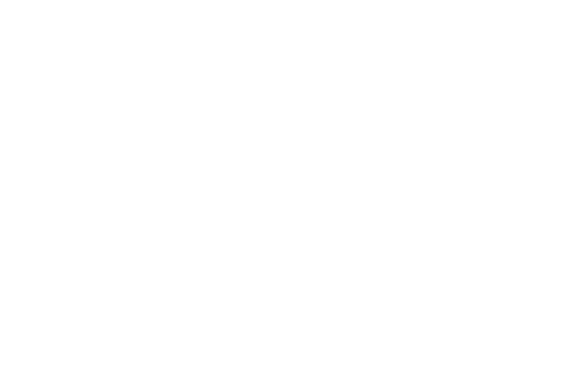 World Film Communities Network (WFCN)